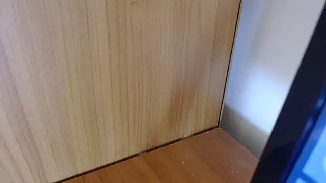 Pamela-StripX online show from March 3, 8:37 pm