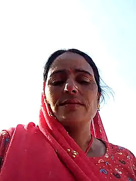 Jalebi bay online show from November 8, 3:55 am