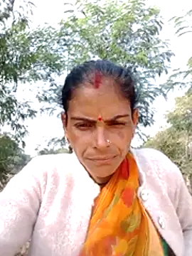 H seema online show from November 18, 7:53 am