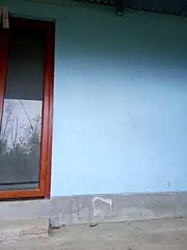 siki-00 online show from October 27, 10:00 am