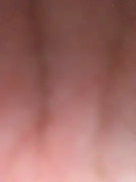 luzmelzinha online show from March 20, 3:55 am