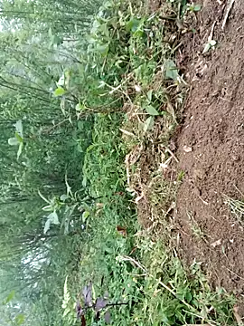 kemtuoi-sex online show from April 19, 9:42 am