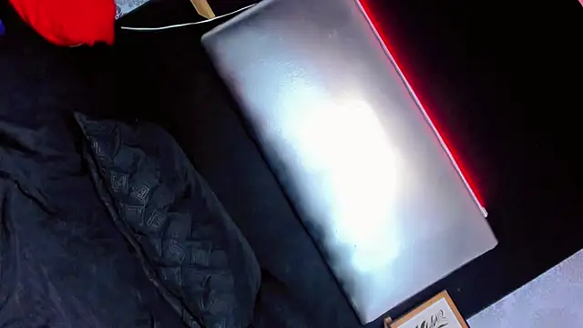 daniela dolls online show from November 13, 11:20 am