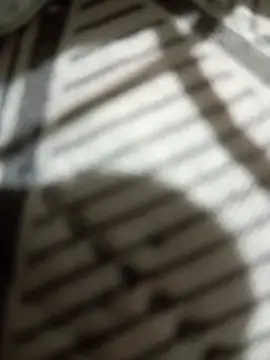 ppkrosa casadax online show from September 25, 11:31 am