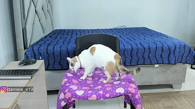 Daniela x19 online show from October 17, 2:48 am