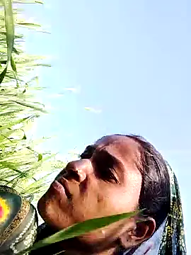 Hot reshmaji online show from February 13, 10:17 am