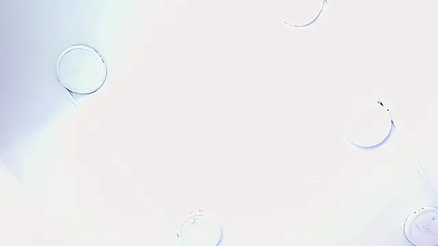  isa king  online show from November 13, 12:09 am