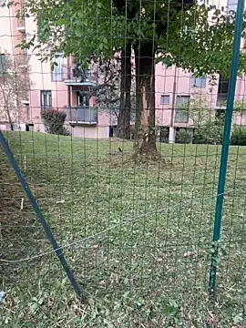 fioralba online show from April 10, 4:24 pm