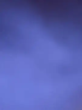 Tramy xx online show from October 26, 4:08 am