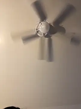 pmonie online show from November 16, 12:23 am