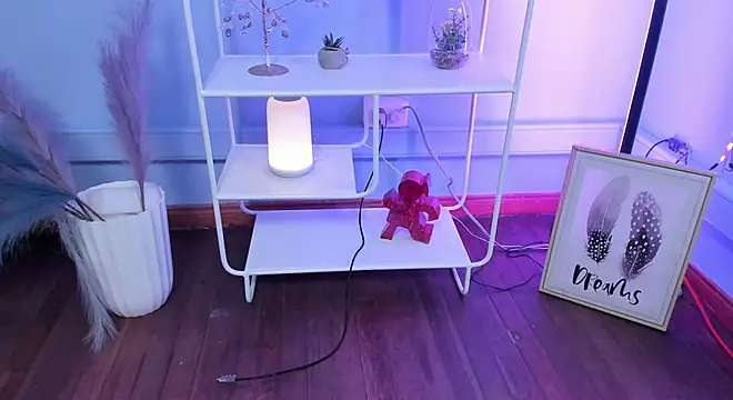 KathiaSaenz  online show from January 16, 4:30 am