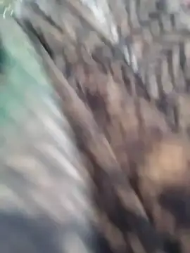 Na shreya online show from March 24, 12:49 am