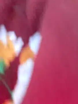 Sweed-virgin-pussy online show from November 29, 1:31 am