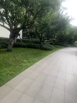 Lisa-kk online show from October 26, 7:26 am