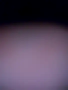 shannon kinne  online show from November 4, 10:31 am