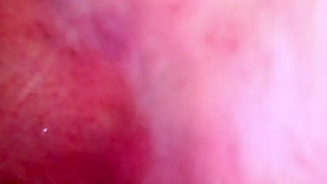 shannon kinne  online show from November 22, 8:22 pm