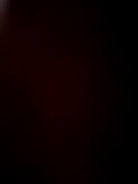 CoYu-528 online show from October 9, 1:15 pm