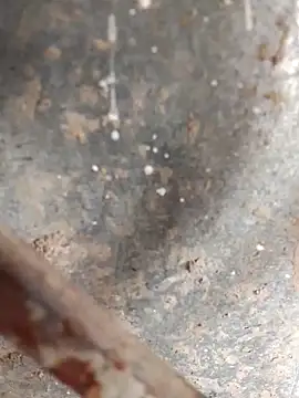 Cr sonam online show from October 9, 8:51 am