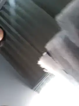 Sofia242a online show from November 18, 1:01 pm