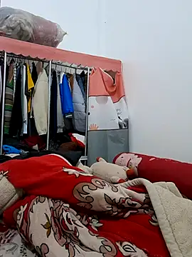 limely- online show from November 18, 2:29 pm