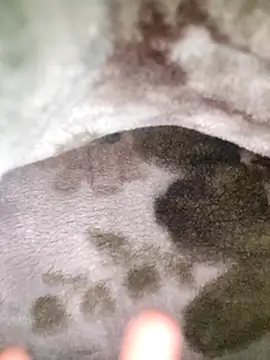 Anchal-8798 online show from January 12, 5:51 pm