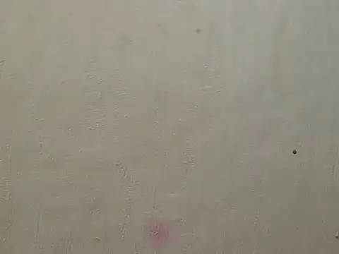 ZuriVixen online show from October 9, 6:34 pm