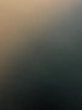 Siya-20 online show from January 15, 8:42 am