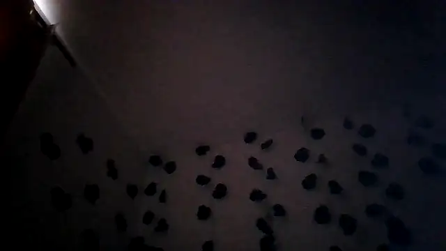 abby moss 2 online show from March 25, 12:52 pm