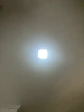 safadinhaquenteW online show from January 11, 4:45 pm