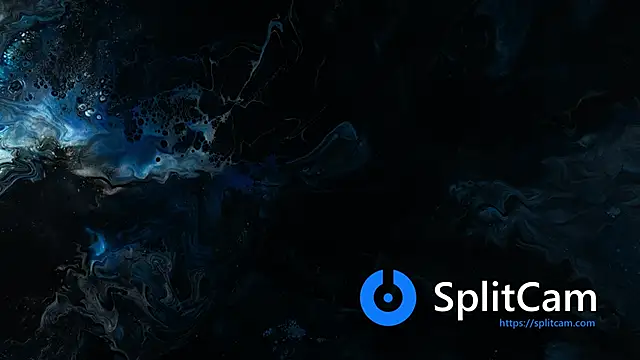 MayaMusee online show from April 18, 8:42 pm