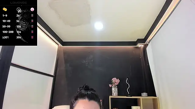 MelodySnow online show from November 4, 8:25 pm