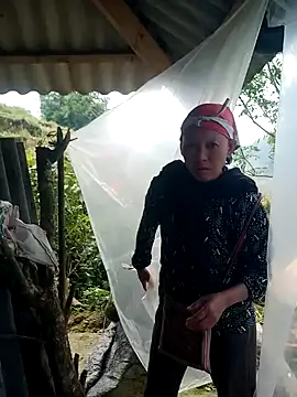 nui-show online show from November 15, 6:25 am