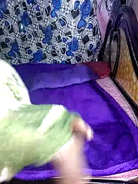 sarika-telugu online show from April 21, 2:51 am