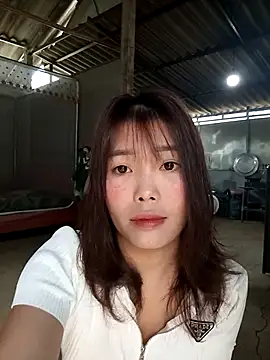 Fish yellow online show from December 16, 12:49 am