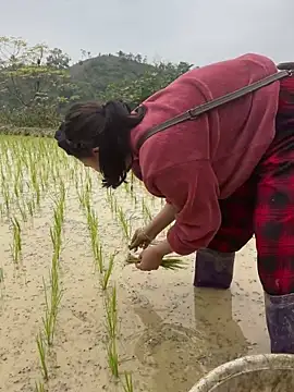 Irin jo online show from February 4, 7:55 am