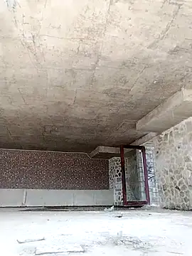 dinnavi online show from November 26, 4:35 am