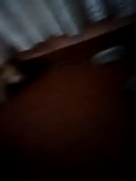 pampa4456 online show from December 22, 5:10 am