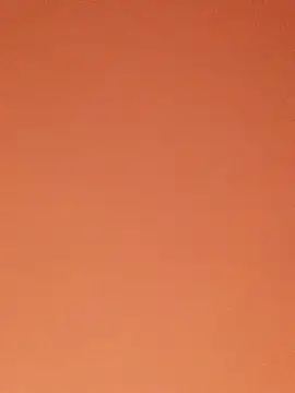 SiennaBite online show from November 26, 12:44 am