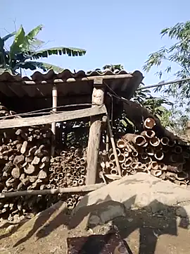 doggy-00 online show from February 6, 7:23 am