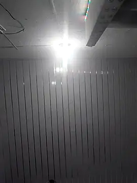 Hairy ptt online show from March 14, 4:19 pm