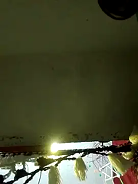 lodhipriti online show from December 1, 12:09 pm