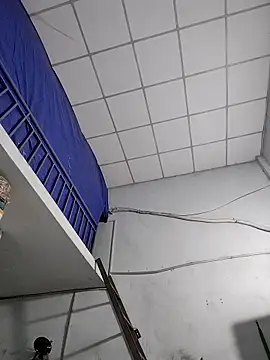 Liveryta online show from November 24, 11:23 am