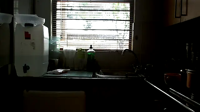 NewBeginnings8 online show from April 8, 11:12 am