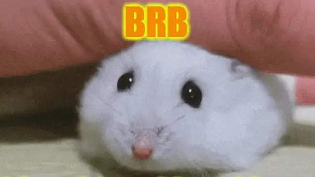 loveiiisens online show from December 1, 1:36 pm