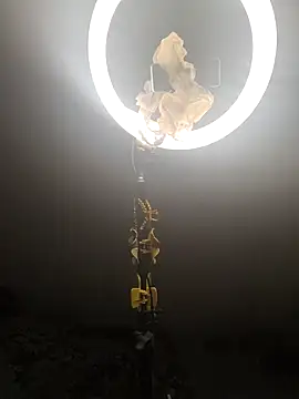 drakezone online show from February 21, 10:10 pm