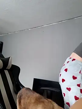 Lilly hase online show from November 19, 11:43 am