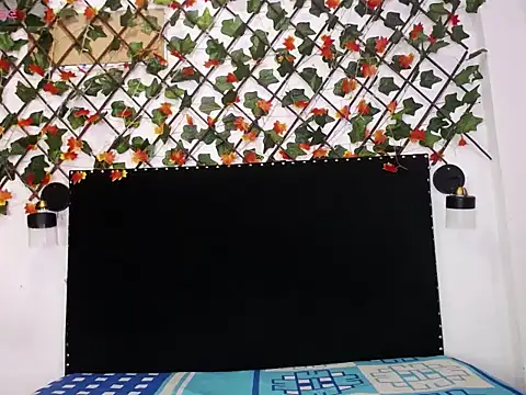 vhannaper online show from November 29, 4:05 am