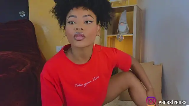 vanestraus online show from November 25, 8:53 pm