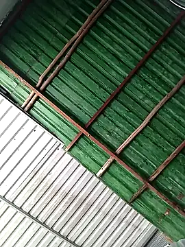 Lin-kute98 online show from February 28, 4:45 am