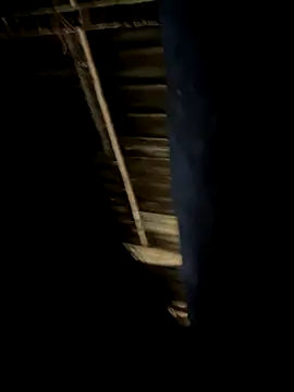 MySmile online show from November 29, 6:28 am